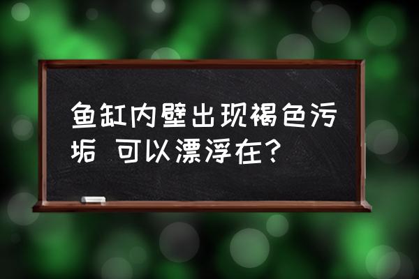 鱼缸内壁出现褐色污垢 鱼缸内壁出现褐色污垢 可以漂浮在？