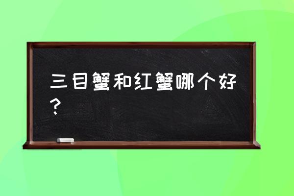 爆炒三目蟹最正宗的做法 三目蟹和红蟹哪个好？