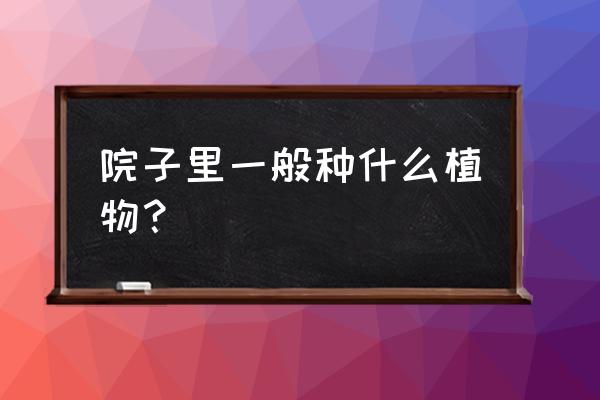 家里有黄杨代代出栋梁出自哪里 院子里一般种什么植物？