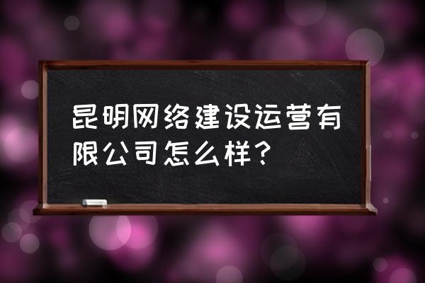 云南知名电子招投标平台功能 昆明网络建设运营有限公司怎么样？