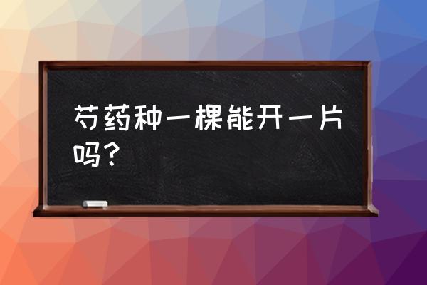 芍药花能在家院子种吗 芍药种一棵能开一片吗？