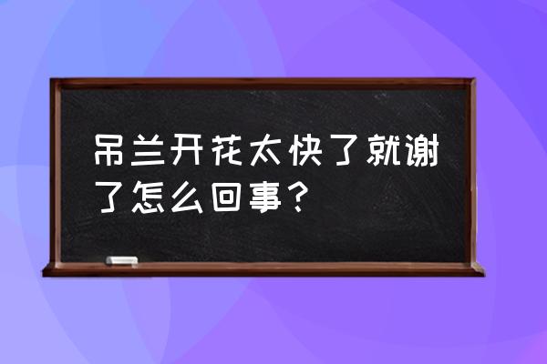 金边吊兰烂根修补方法 吊兰开花太快了就谢了怎么回事？