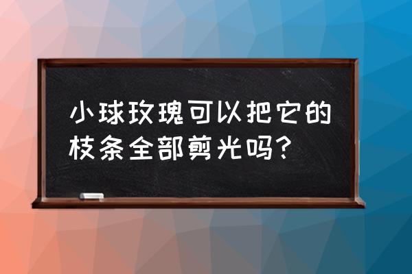 小球玫瑰锦配什么花盆好 小球玫瑰可以把它的枝条全部剪光吗？