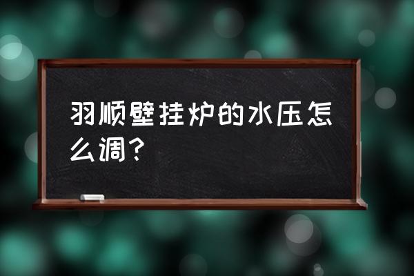 羽顺壁挂炉怎么进入参数设定 羽顺壁挂炉的水压怎么调？