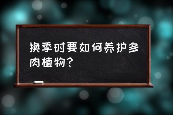 秋天多肉植物怎么养护 换季时要如何养护多肉植物？