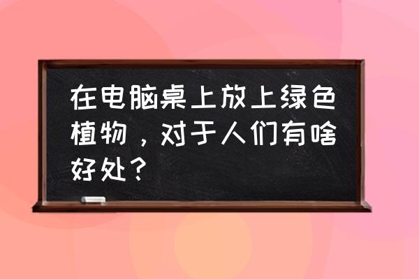 电脑桌子上放什么植物防辐射 在电脑桌上放上绿色植物，对于人们有啥好处？