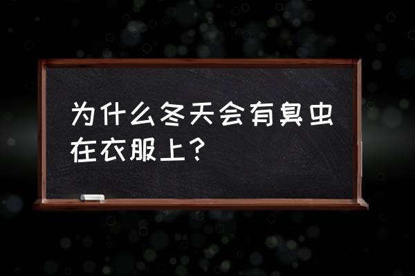 吸血臭虫怎么止痒 为什么冬天会有臭虫在衣服上？