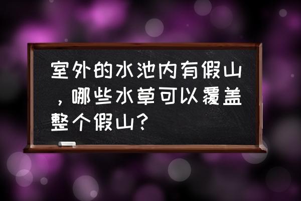 农村庭院假山 室外的水池内有假山，哪些水草可以覆盖整个假山？