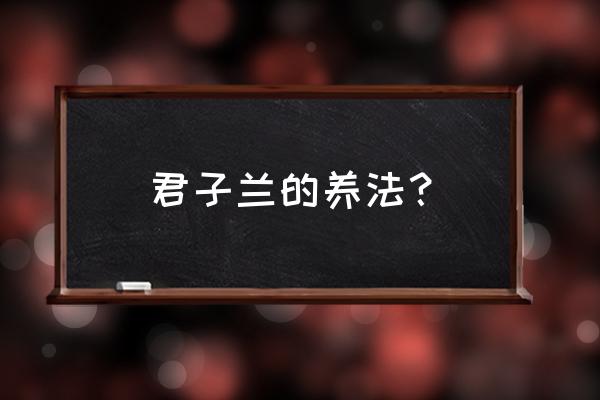 君子兰怎么养殖最好 君子兰的养法？