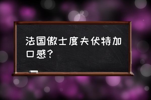 伏特加哪个牌子好 法国傲士度夫伏特加口感？