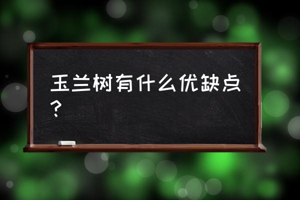 玉兰树50公分价格 玉兰树有什么优缺点？