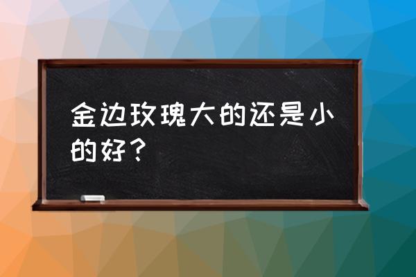 玲珑玫瑰服饰旗舰店 金边玫瑰大的还是小的好？