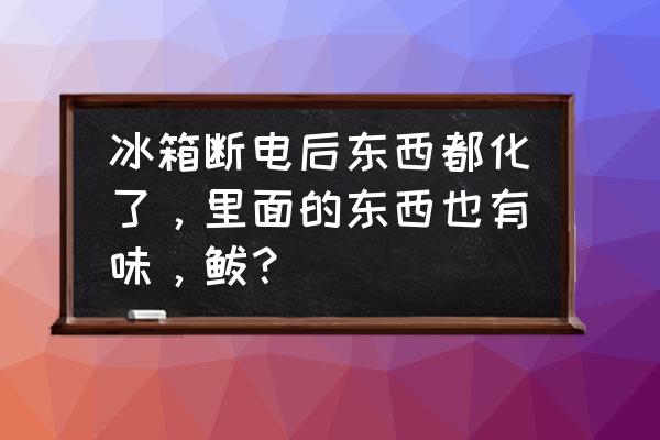 冰箱有味怎么除 冰箱断电后东西都化了，里面的东西也有味，鲅？