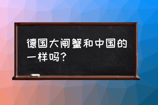 德国哪里买大闸蟹 德国大闸蟹和中国的一样吗？