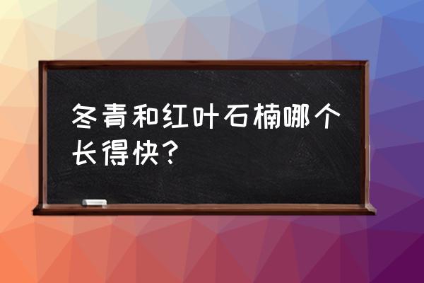 石楠树修剪最佳时间 冬青和红叶石楠哪个长得快？