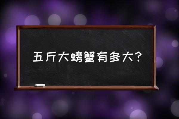 5两母大闸蟹多少钱一斤 五斤大螃蟹有多大？