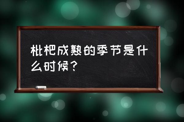 南方1-12月应季水果表 枇杷成熟的季节是什么时候？