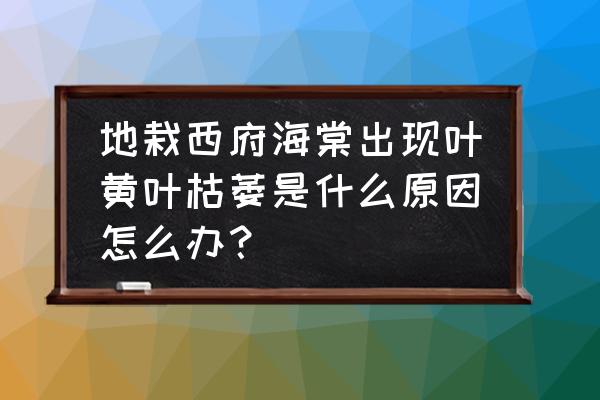 海棠被大佬们日夜浇灌在哪儿看 地栽西府海棠出现叶黄叶枯萎是什么原因怎么办？