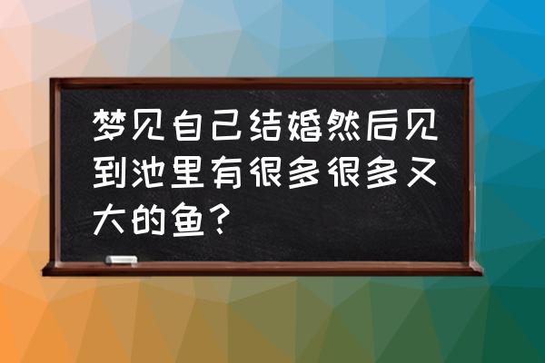 病人女人梦见捉到好多鱼 梦见自己结婚然后见到池里有很多很多又大的鱼？