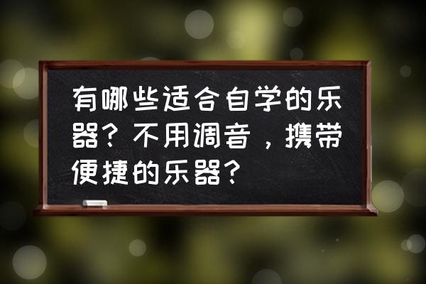 拿什么不用手 有哪些适合自学的乐器？不用调音，携带便捷的乐器？