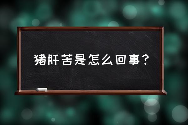 猪苦胆汁一般喝多久会见效 猪肝苦是怎么回事？