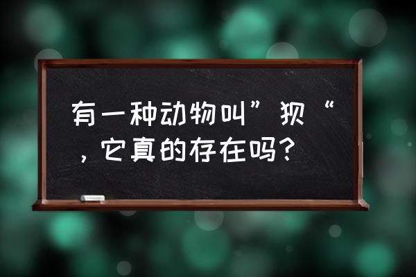 超母子退化 有一种动物叫”狈“，它真的存在吗？