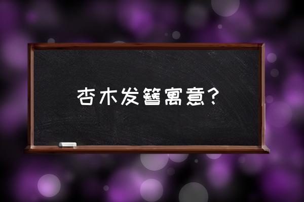 木头马尾发簪 杏木发簪寓意？