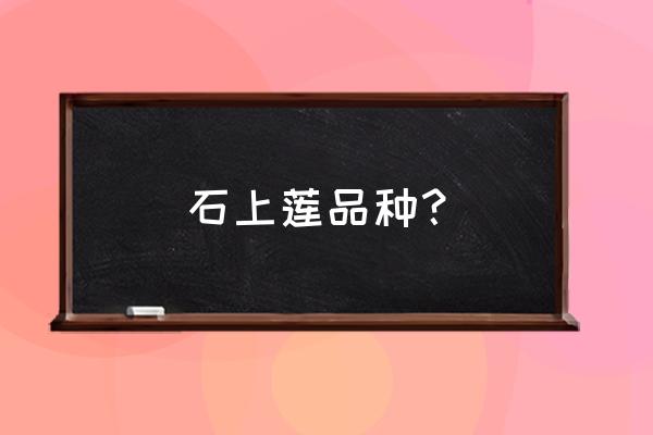 蓝石莲和鲁氏石莲区别 石上莲品种？