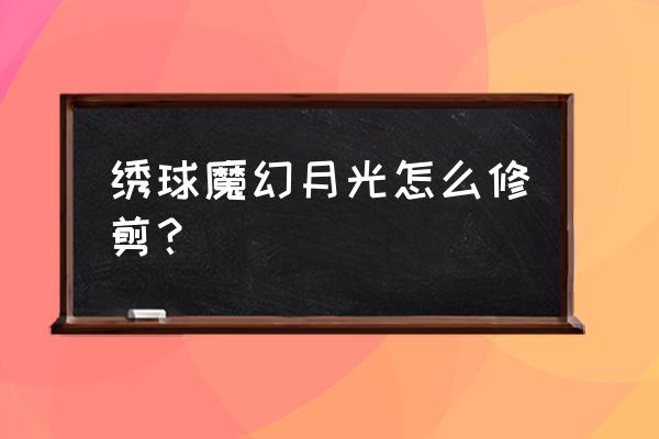 圆锥绣球修剪时间和方法 绣球魔幻月光怎么修剪？