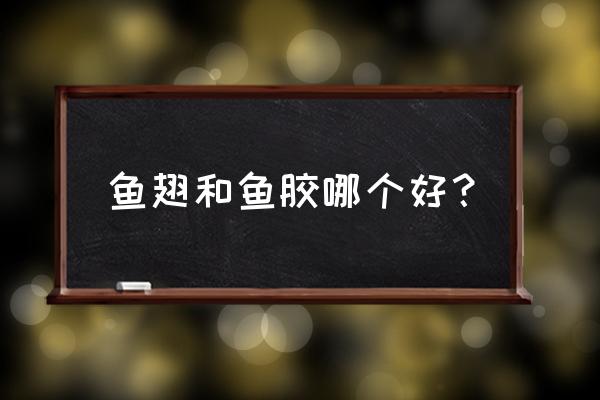 鱼翅价格多少一斤 鱼翅和鱼胶哪个好？