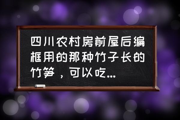 特别大的笋 四川农村房前屋后编框用的那种竹子长的竹笋，可以吃吗？为什么？