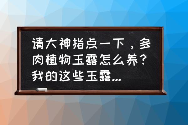 玉露多肉 请大神指点一下，多肉植物玉露怎么养？我的这些玉露怎么变成这样了？