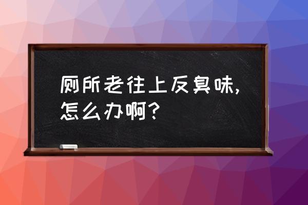 厕所反味特别严重怎么解决 厕所老往上反臭味,怎么办啊？