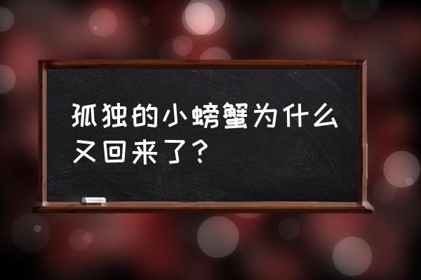 孤独的小螃蟹读后感二年级 孤独的小螃蟹为什么又回来了？