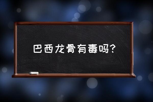 巴西龙骨叶子黄掉叶子怎么办 巴西龙骨有毒吗？