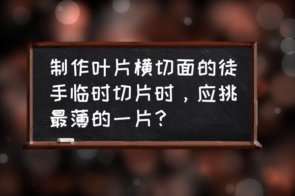 徒手切片器材 制作叶片横切面的徒手临时切片时，应挑最薄的一片？