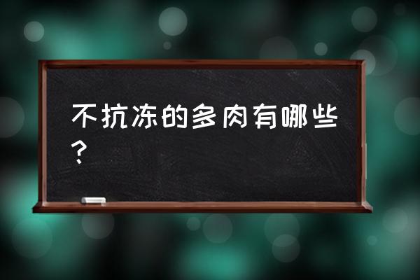 多肉耐寒一览表 不抗冻的多肉有哪些？