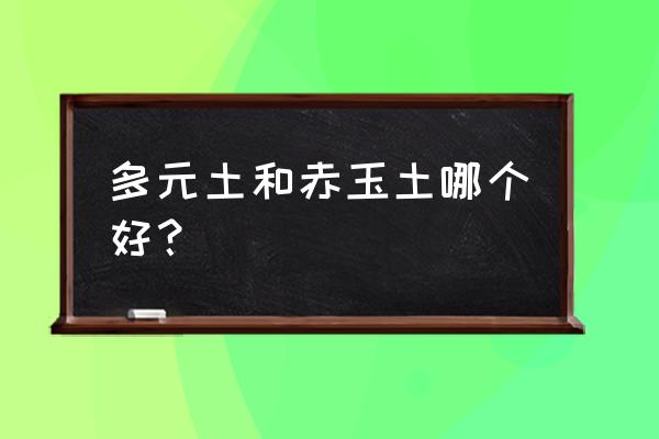 营养土排行榜前十名 多元土和赤玉土哪个好？