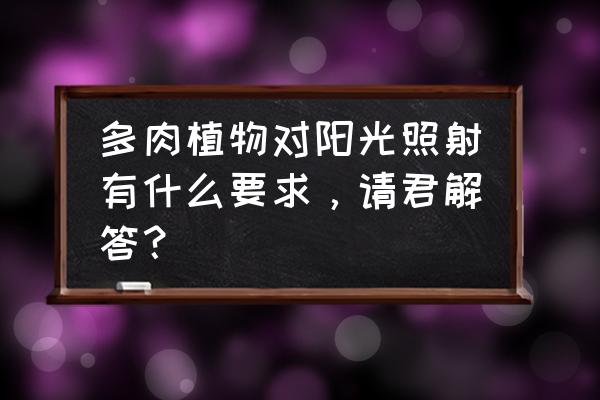 多肉观察日记7天简短 多肉植物对阳光照射有什么要求，请君解答？