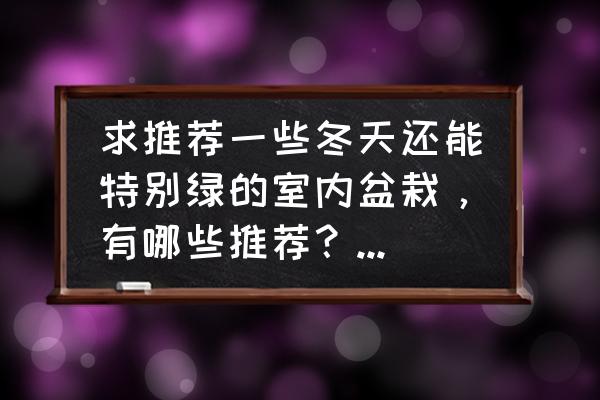 吸灰尘植物排行榜 求推荐一些冬天还能特别绿的室内盆栽，有哪些推荐？不容易掉叶子的那种？