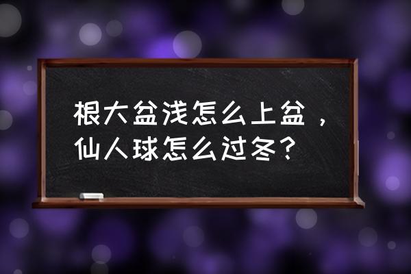 仙人球怕冷吗多少度 根大盆浅怎么上盆，仙人球怎么过冬？