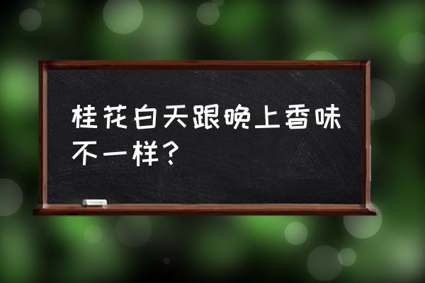 桂花闻起来什么味 桂花白天跟晚上香味不一样？