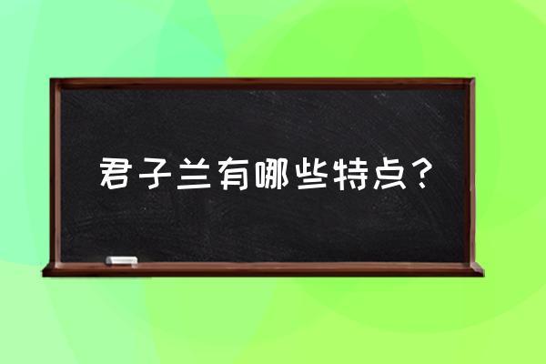 君子兰的特点 君子兰有哪些特点？