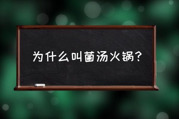 菌汤火锅汤底用哪几种菇最好 为什么叫菌汤火锅？