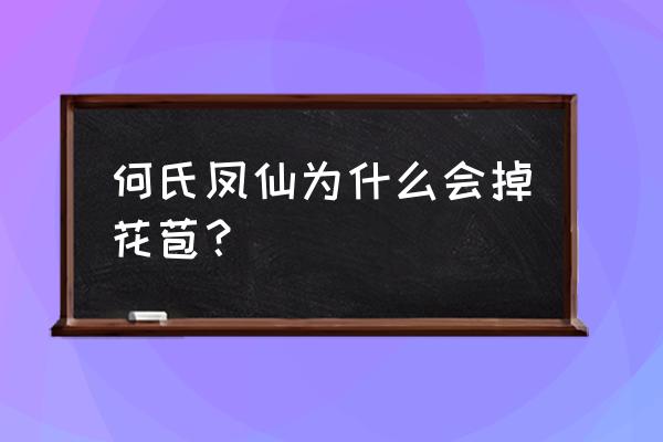 凤仙与何氏凤仙的区别在哪里 何氏凤仙为什么会掉花苞？