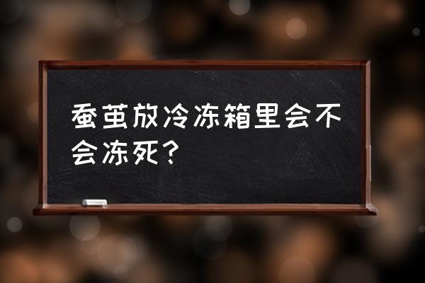 蚕蛹的禁忌什么样的人不能吃蚕蛹 蚕茧放冷冻箱里会不会冻死？