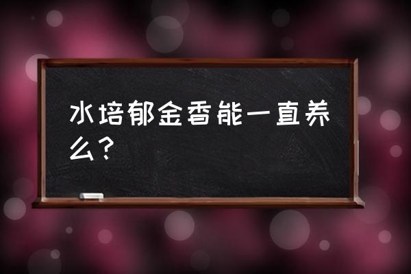 郁金香家里摆放禁忌 水培郁金香能一直养么？