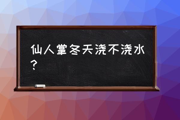 仙人球浇水要浇透吗 仙人掌冬天浇不浇水？