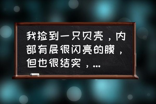 贝壳粉装修一年后掉粉 我捡到一只贝壳，内部有层很闪亮的膜，但也很结实，刮下来之后比较脆，请问这是什么？跟珍珠粉一样吗？