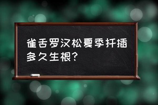 罗汉松扦插的最好时间与方法 雀舌罗汉松夏季扦插多久生根？